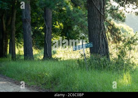 Fox and Squirrel Crossing Sign on a Tree Lined Dirt Road Stock Photo