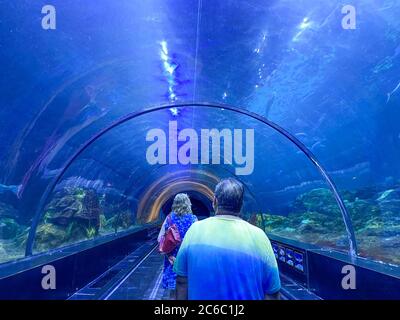 Orlando, FL/USA-7/3/20: The shark viewing tunnel at Seaworld in Orlando, Florida. Stock Photo