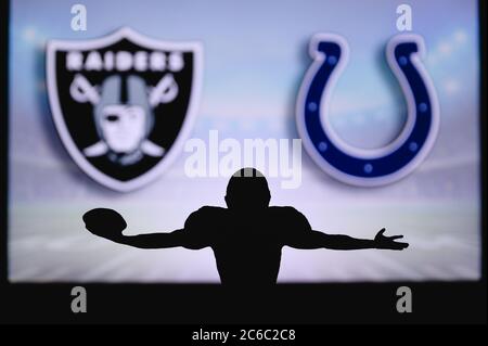 The American Flag and the Salute to Service logo is shown on a hoodie  before an NFL football game between the Indianapolis Colts and the Las  Vegas Raiders in Las Vegas, Sunday