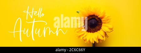 Hello Autumn text with Sunflowers Stock Photo