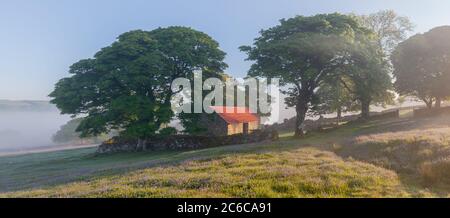 Emsworthy Barn in Spring surrounded by bluebells Stock Photo