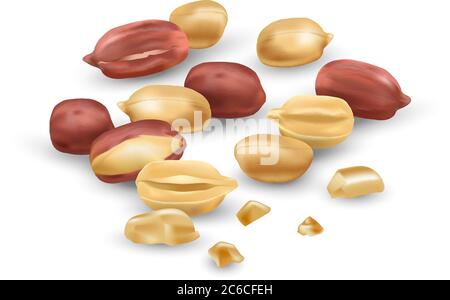 Peanuts in vector 3D illustration realistic. For packaging with peanut butter, nut mix. Vegetable protein for vegetarians, a useful product. Stock Vector