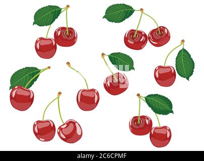 Realistic set of cherries. Summer harvest of berries. Vector illustration Stock Vector