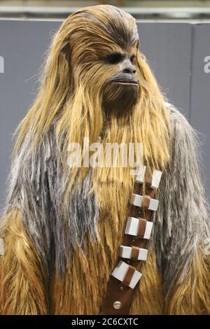 Someone dressed as Chewbacca from the Star Wars movies at the Supanova pop culture expo in Sydney, Australia. Stock Photo