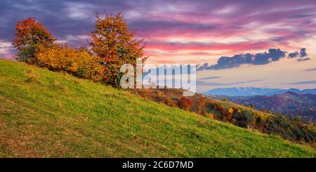 autumnal rural landscape at dusk. beautiful countryside in mountains. trees in fall foliage on green rolling hills. dramatic clouds above the distant Stock Photo