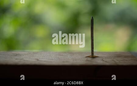 Nails plugged on the wooden plate at green blurred background Stock Photo