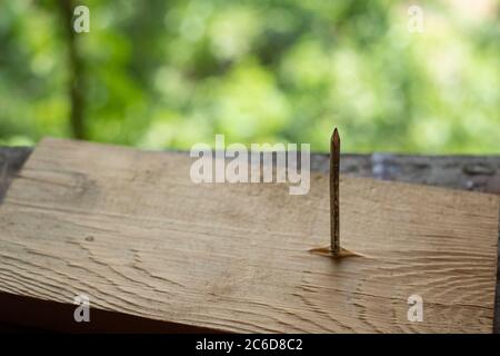 Nails plugged on the wooden plate at green blurred background Stock Photo