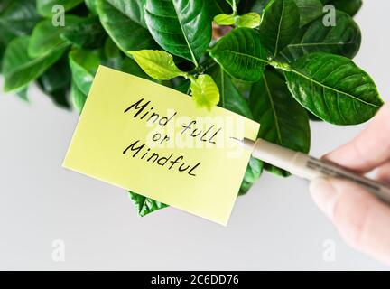 Sticking note with text "Mind full or Mindful" on green home plant. Stock Photo