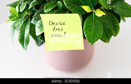 Device free zone! - Written on yellow sticky note and pinned at home plant Stock Photo