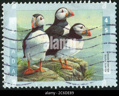 CANADA - CIRCA 1996: stamp printed by Canada, shows Atlantic puffin, circa 1996 Stock Photo