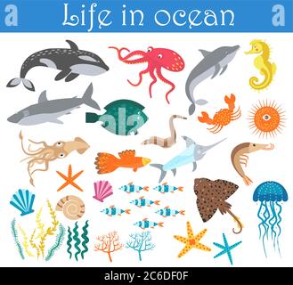 Set of cartoon sea animals fish. Life in ocean collection Stock Vector