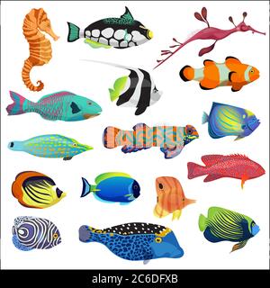 Exotic colorful tropical fish fishes collection set isolated Stock Vector