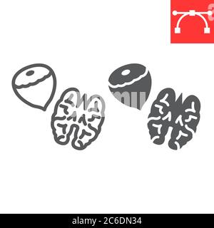 Nuts line and glyph icon, hazelnut and keto diet, walnut sign vector graphics, editable stroke linear icon, eps 10. Stock Vector