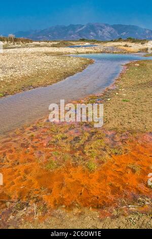 Babai River, Royal Bardia National Park, Bardiya National Park, Nepal, Asia Stock Photo