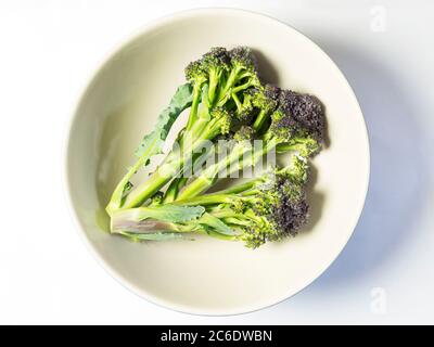 Three stalks of purple spouting broccoli in a bowl centred on a white background Stock Photo