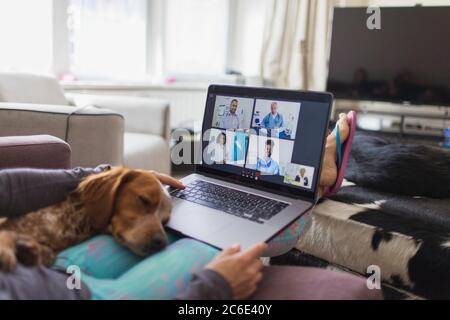Dog sleeping on woman with laptop video chatting with doctors Stock Photo