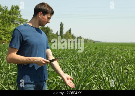 Man with clipboard in corn field. Agriculture business Stock Photo
