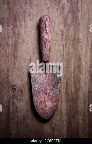 Old Trowel On Wooden Background Stock Photo