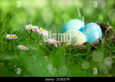 Beautiful Easter decoration - Nest with colorful easter eggs on meadow with daisy flowers in the sunlight Stock Photo