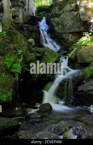 Summer view of Lumsdale Falls, Bentley Brook, near Matlock town, Peak District National Park, Derbyshire Dales, England, UK Stock Photo