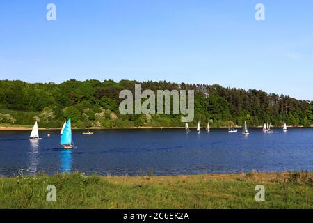 Summer view over the Ogston reservoir, near Ashover village, Derbyshire Dales, Derbyshire, England Stock Photo