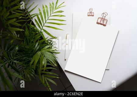 Blank corporate identity stationery set, personal branding mockup template. Sheets of paper, fountain pen and office supplies, decorated with a living Stock Photo