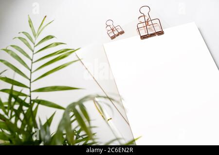 Blank corporate identity stationery set, personal branding mockup template. Sheets of paper, fountain pen and office supplies, decorated with a living Stock Photo