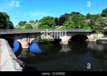 Spring view of the Belper bridge and weir, river Derwent, Belper town, Amber Valley, Derbyshire Dales, England, UK Stock Photo