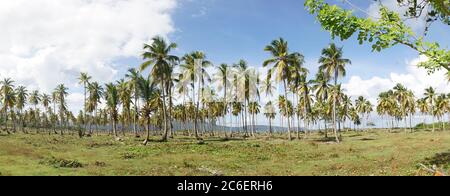 Tropical Beach and Ocean island setting in Samana, Dominican Republic. Stock Photo