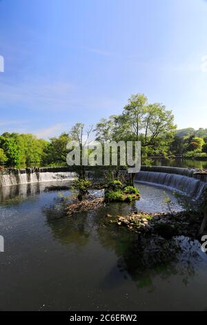 Spring view of the Belper bridge and weir, river Derwent, Belper town, Amber Valley, Derbyshire Dales, England, UK Stock Photo