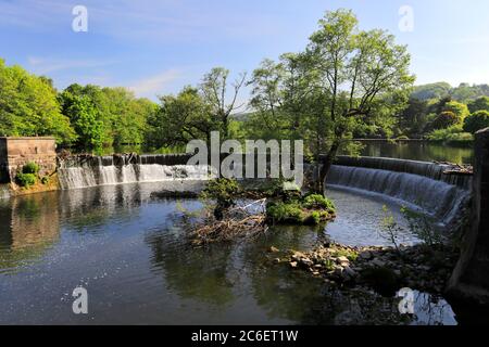 Spring view of the Belper bridge and weir, river Derwent, Belper town, Amber Valley, Derbyshire Dales, England, UK Stock Photo