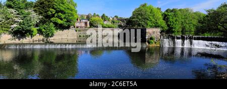 Spring view of the Belper bridge and weir, river Derwent, Belper town, Amber Valley, Derbyshire Dales, England, UK Stock Photo