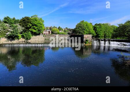 Spring view of the Belper bridge and weir, river Derwent, Belper town, Amber Valley, Derbyshire Dales, England, UK Stock Photo