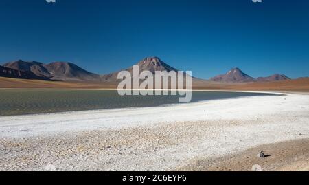Laguna Lejia in the Andes in Chile near San Pedro de Atacama Stock Photo