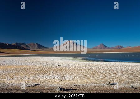 Laguna Lejia in the Andes in Chile near San Pedro de Atacama Stock Photo