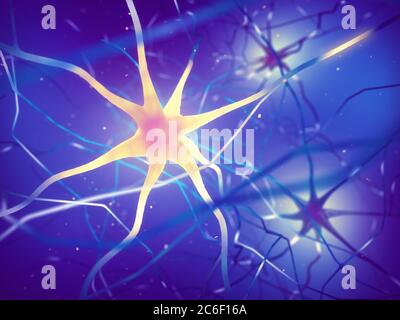 Human brain nerve cells , The neurons are a part of the central nervous system Stock Photo