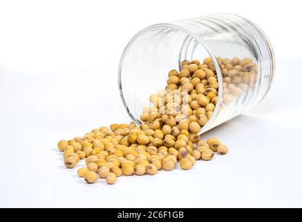 soy beans isolated on white background Stock Photo