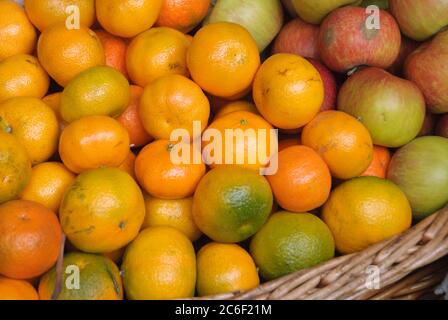 Gewoehnliche Mandarine, Citrus reticulata, Ordinary mandarin, Citrus reticulata Stock Photo