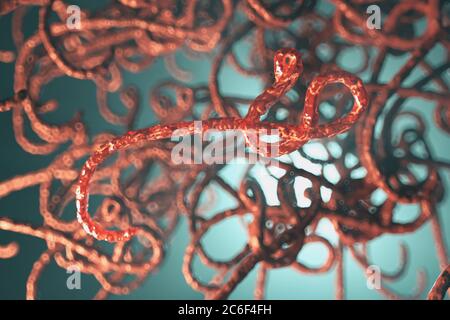 Microscopic view of the ebola virus, 3d illustration Stock Photo