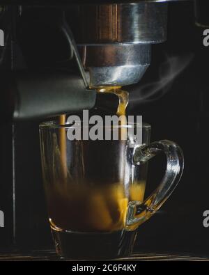 Espresso glass cup in machine, hot coffee brewing Stock Photo