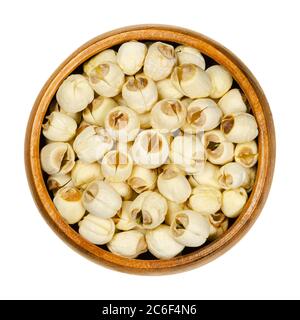 Dried shelled white lotus nuts in wooden bowl. Edible seeds of Indian lotus. Nelumbo nucifera, also known as sacred lotus, bean of India. Stock Photo