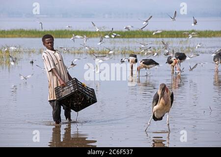 Local Boys Mending Fishing Nets, The Fish Market, Lake Hawassa, Hawassa,  Ethiopia, Stock Photo, Picture And Rights Managed Image. Pic. YB3-2356974