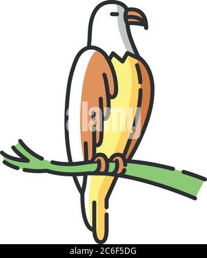 Eagle RGB color icon. Dangerous bird of prey, flying animal, winged predator. American national. Hawk, falcon sitting on tree branch isolated vector i Stock Vector