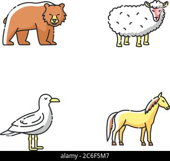 Livestock animals RGB color icon Stock Vector Image & Art - Alamy