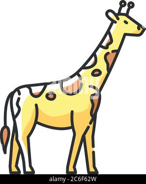 Giraffe RGB color icon Stock Vector Image & Art - Alamy