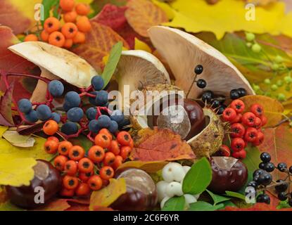 Autumn decoration made of colorful leaves, mushrooms and fruits Stock Photo