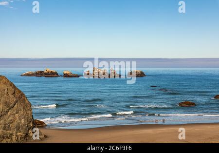 Dogs playing on a beach with sea stacks just off shore near Bandon Oregon Stock Photo