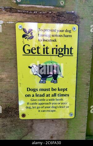 'Get It Right', a sign asking dog walkers to keep their dogs on the lead in an area with cattle, UK. Stock Photo