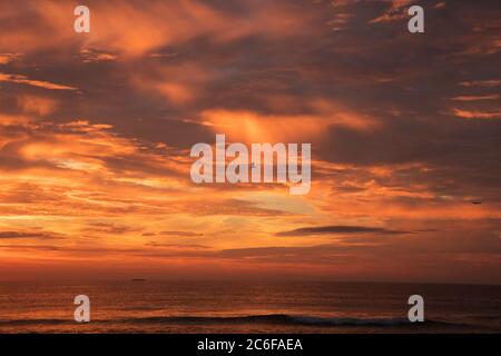 Sunrise over the Atlantic Ocean from Sandy Hook National Park on the New Jersey shore with a sea gull in flight with dramatic clouds and cloudscape. Stock Photo
