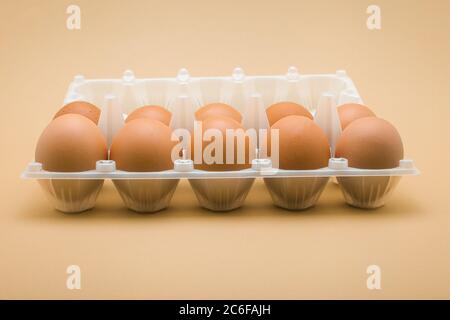 Eggs in a plastic tray, 10 pieces of brown chicken eggs. Stock Photo